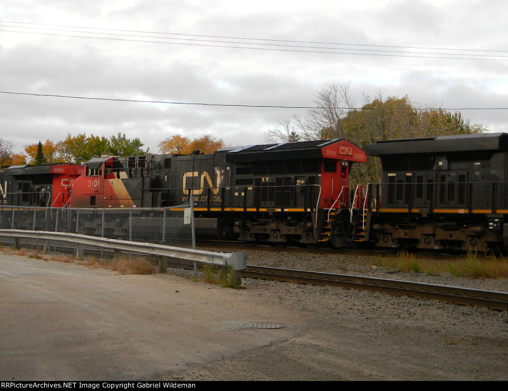 CN 3101 